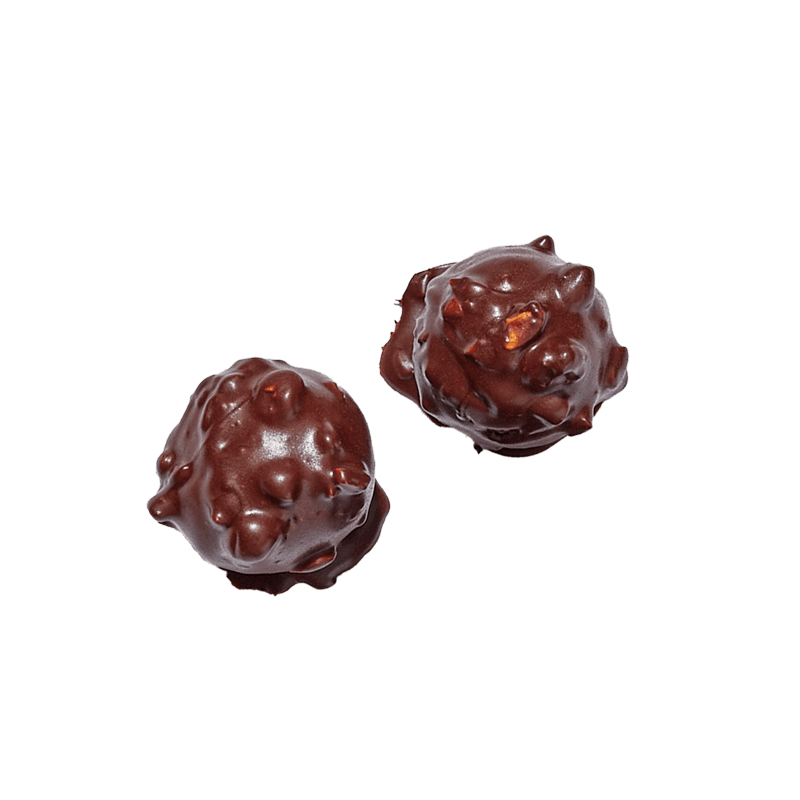 avellana protein ball x2.png